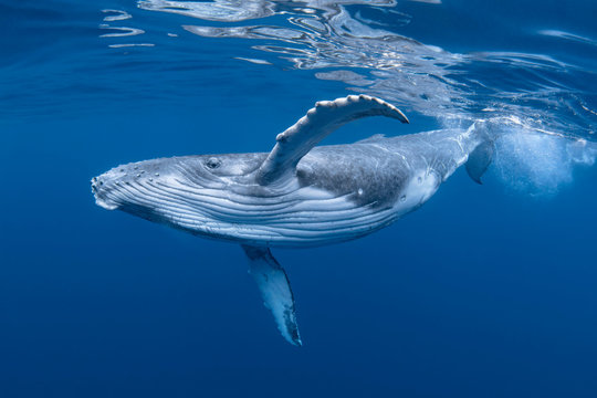 Deep Sea Fishing